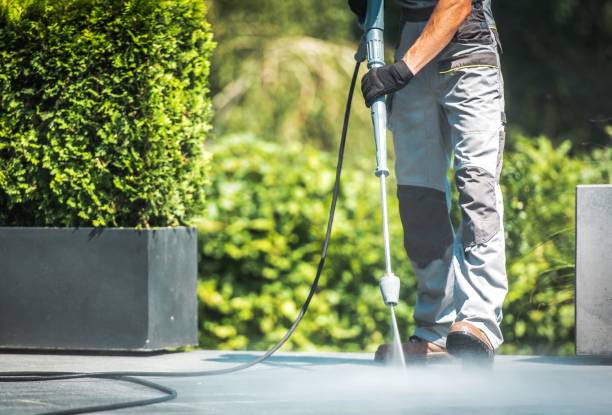 Best Patio and Deck Pressure Washing  in Nanawale Estates, HI